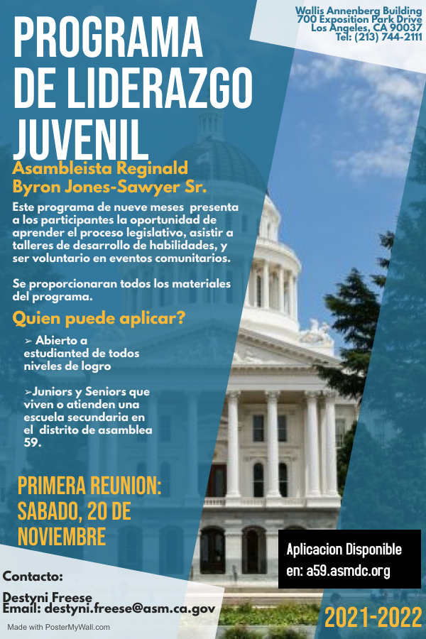 YLP Flyer in Spanish